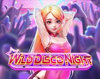 Wild Disco Night